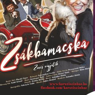 A Zsákbamacska plakátja.