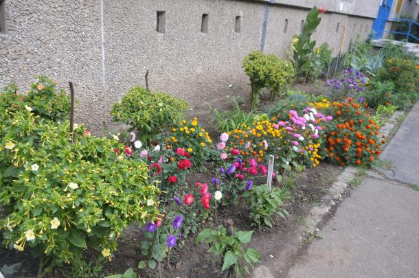 Virágoskertet alakítottak ki a Nemzetőr úti panelház előtt.