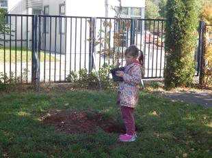 Egy kislány cserepes fával áll a kezében egy kiásott gödör mellett.