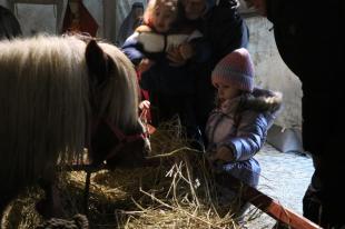 Az egyik kislány megeteti a lovat az élő betlehemben.
