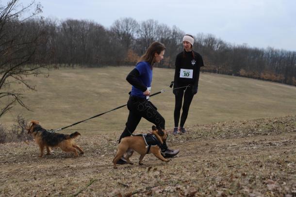 Két sportoló kutyájával fut.