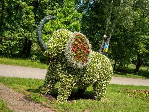 Virágelefánt a Slaski Parkban.