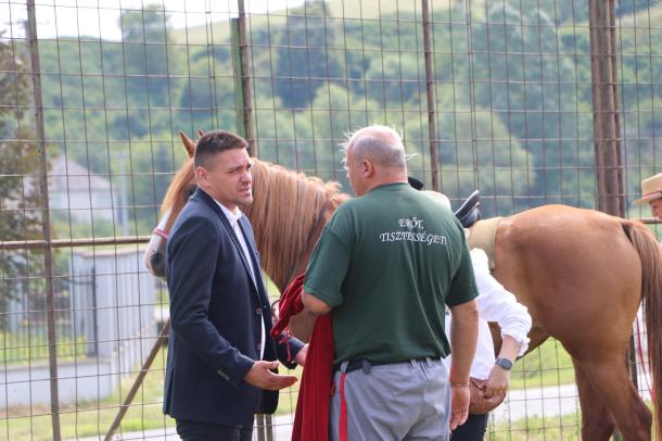 Dr. Csuzda Gábor Varga Gáborral beszélget az egyik ló mellett.
