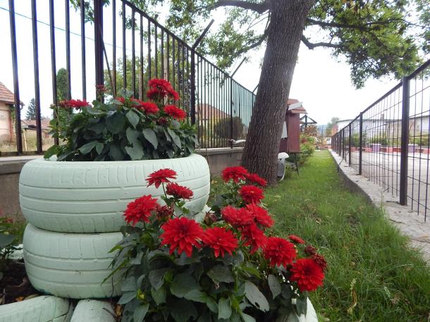 A kerítés mögött is nagyon szép a környezet. Lefestett autógumikban pompáznak a növények.