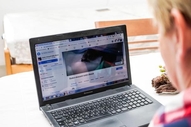 A laptopot nézi Sztrakayné Baraxa Éva.