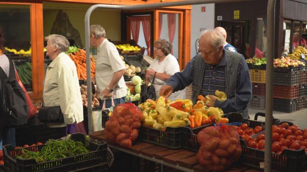 A piacolók lelkesen válogatnak a friss zöldségek között.