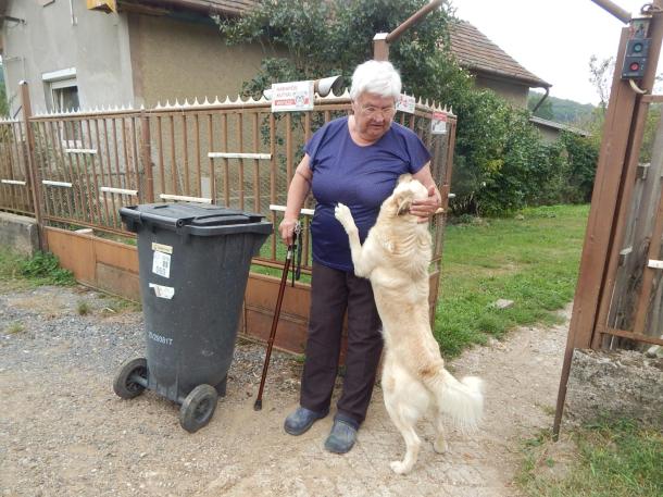 zilágyi István Jánosné ötven éve él a településrészen, ma már Alex nevű kutyájával.