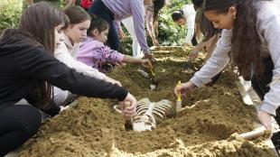 A gyerekek a homokban kutatnak a leletek után.