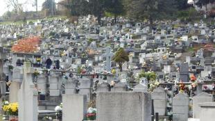 A sírhelyek megváltására, valamint hosszabbítására hívja fel a lakosság figyelmét az Ózdinvest Kft. A Gyári temetőben például ezernyolcszáz sírhely érintett a hatezerből, amelyiknek a rendelkezési joga le van járva.