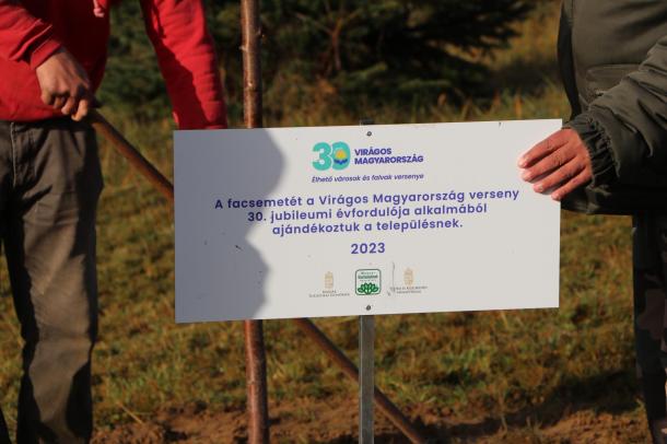 Tábla, ami jelzi, hogy a Virágos Magyarország 30. jubileumi éve miatt kapta ajándékba a város a fát.