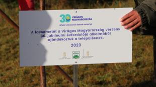Tábla, ami jelzi, hogy a Virágos Magyarország 30., jubileumi éve miatt kapta ajándékba a város a fát.