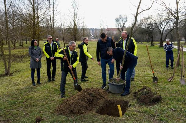 Fát ültetnek az Ezer fa program keretében a Neutrik Hungary Kft., valamint az önkormányzat képviselői.