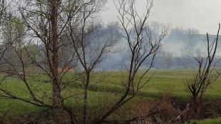 Kissikátor környékén egy viszonylag nagyobb terület vált a lángok martalékává.