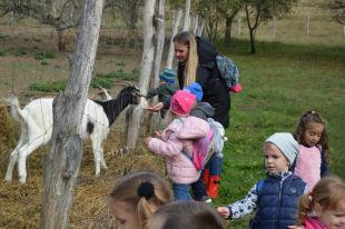 A gyerekek az Állatok Világnapjának alkalmából látogattak ki a Nagyvölgyi Állatsimogatóba.