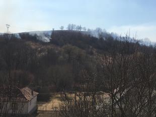 Járdánháza és Borsodnádasd között nagyjából száz hektár, míg Borsodbóta környékén több mint kétszáz hektáros terület vált a lángok martalékává.