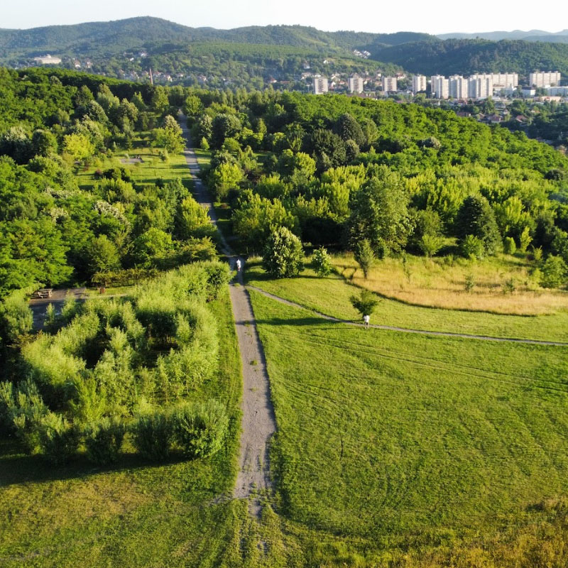 A Drótos-tető arborétuma