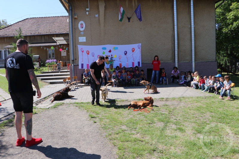 Bemutató a kutyákkal.