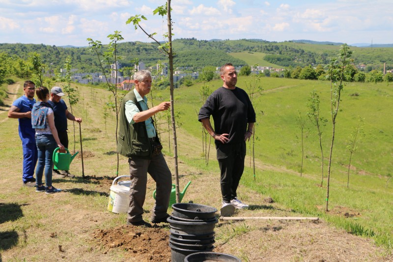 Dancsok Tamás szervező a kezdeményezés helyszínén.