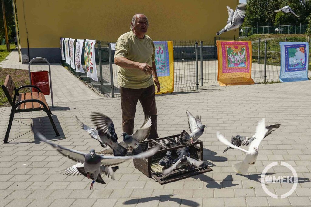 Galambokat is reptettek.