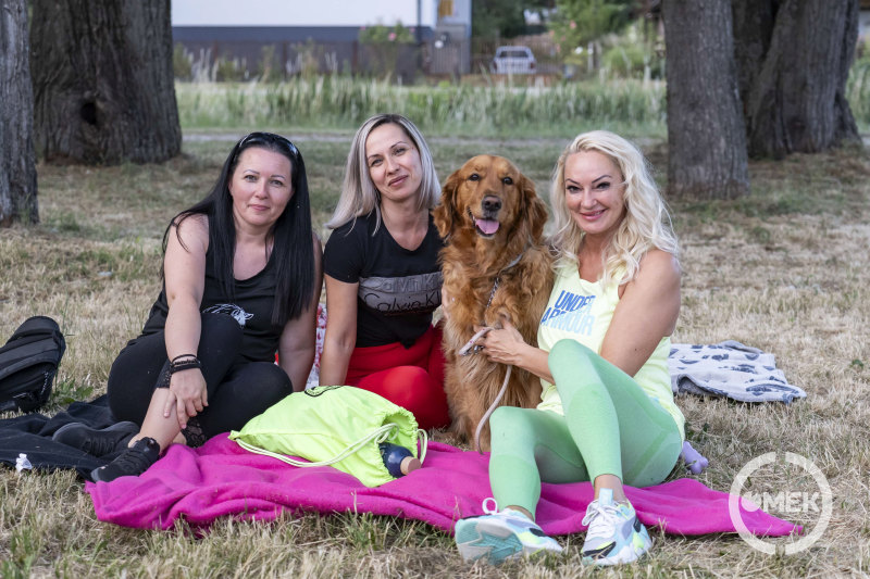 Három hölgy és egy kutya a pikniken.