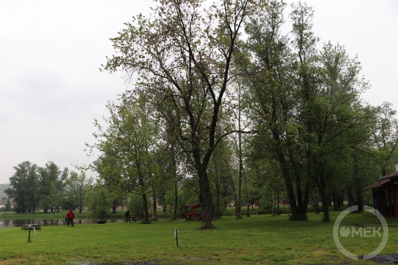 Távoli kép a tó melletti zöldterületről.