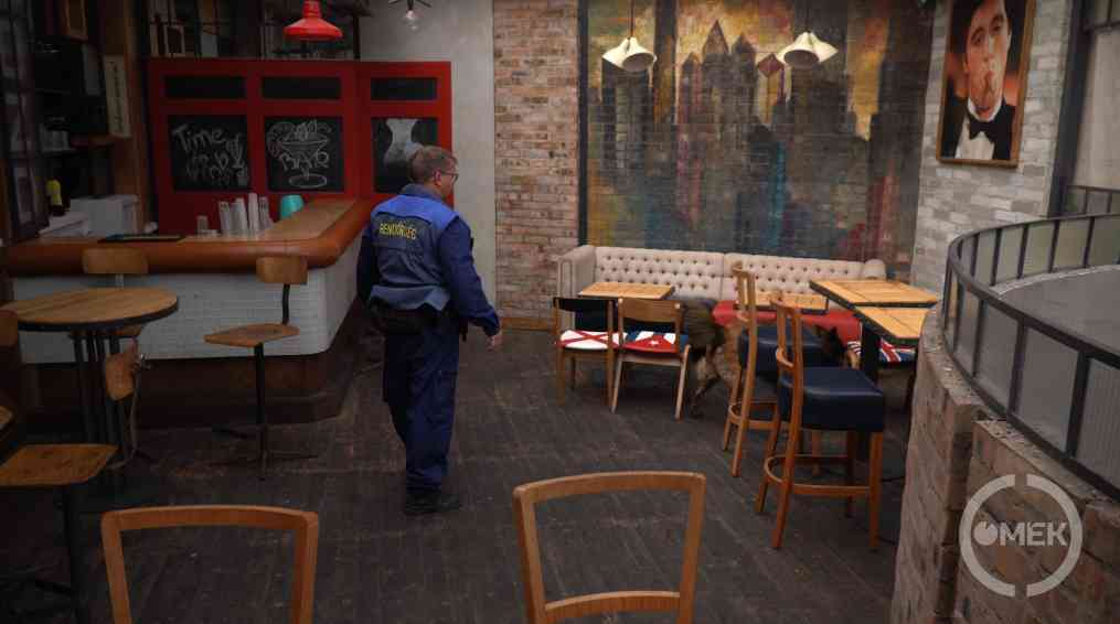 Drogot keres az egyik kutya.