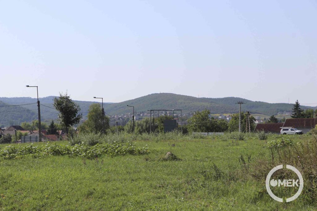 A fűvel benőtt területen holnap elkezdődnek a munkálatok.