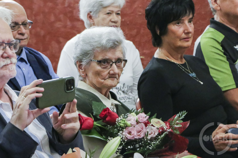 Lukácsy Lászlóné, az Aranygyűszű Díszítőművészeti Szakkör vezetője.
