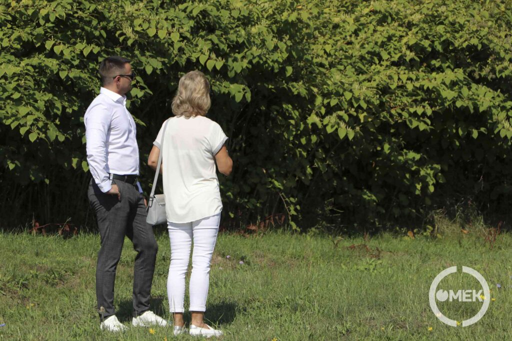 Megtekintik a területet.