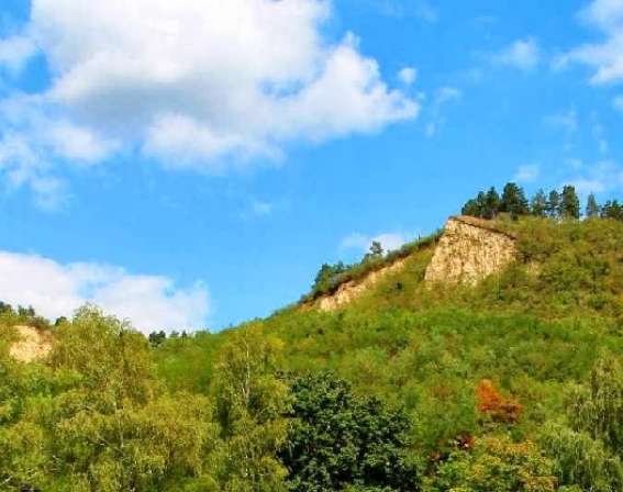 Arlói Suvadás Liget