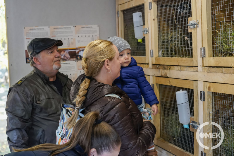 A nyuszikat is megnézték a látogatók.