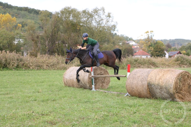 Akadályugrás közben.
