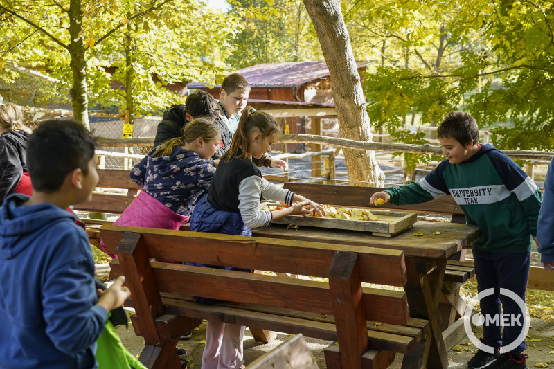 Almával is megkínálhatták az állatokat a kilátogatók.