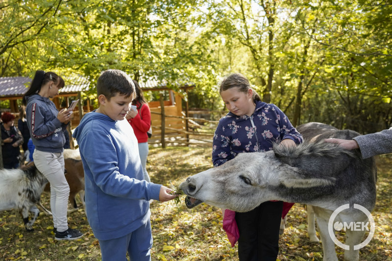 Az állatok rengeteg szeretet kaptak, hiszen a kilátogatók mindannyiukat megsimogatták.