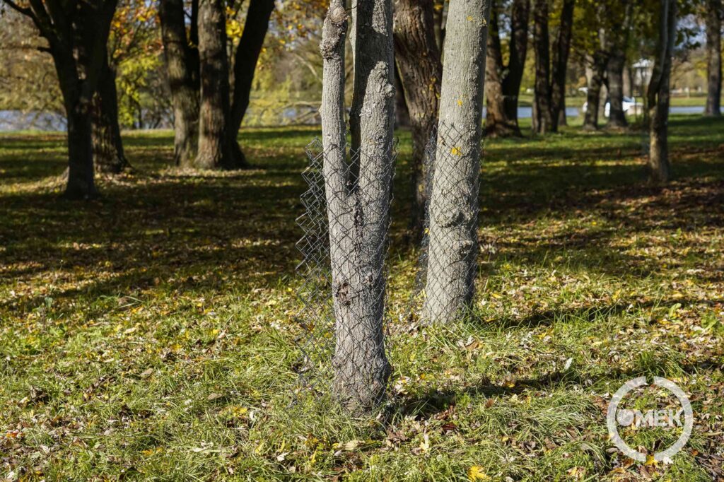 Dróthálóval körbekerített fák.