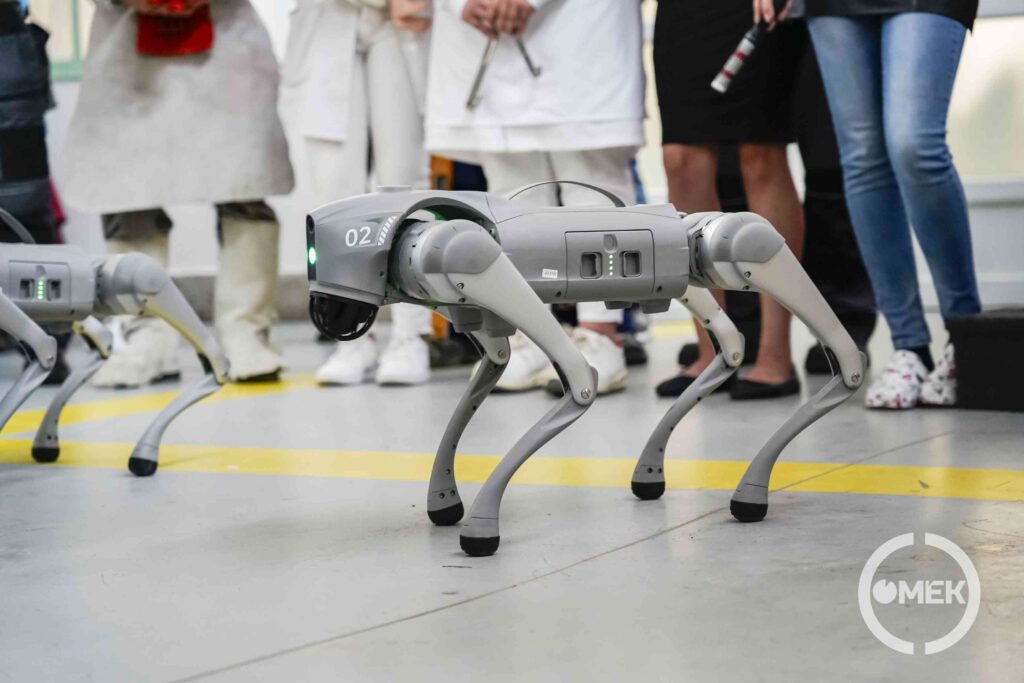 Robotkutyát is láthattak a diákok.