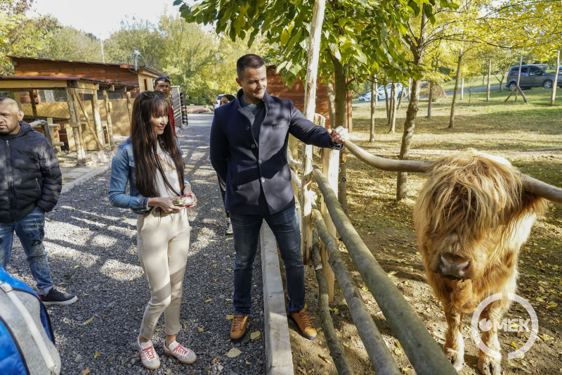 Skót-felföldi marhával is bővült a simogató.