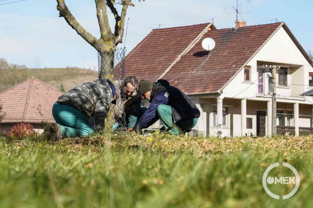 Több fát is körbekerítettek a Március 15. út és az Ózdi Horgásztó közötti területen.