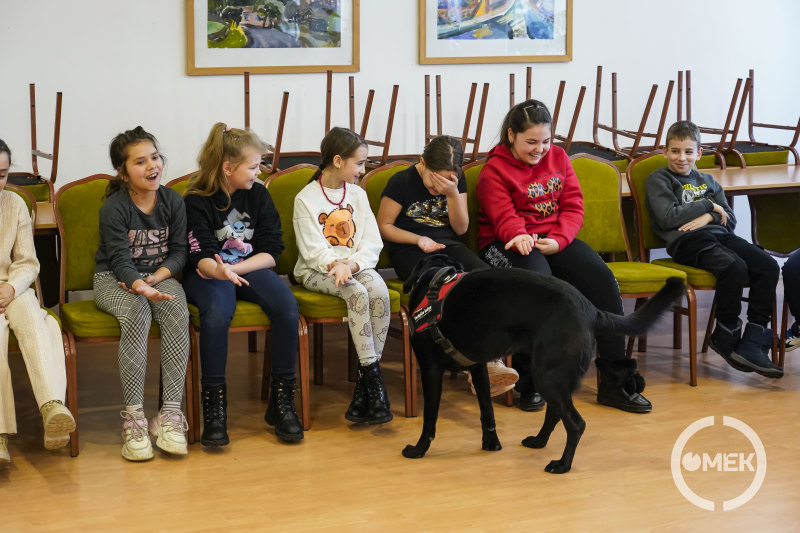 A foglalkozás jó hangulatban telt.