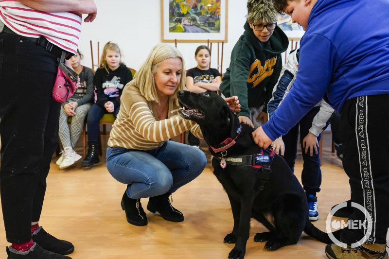 A pedagógusok szívét is rabul ejtette a nagy fekete labrador.
