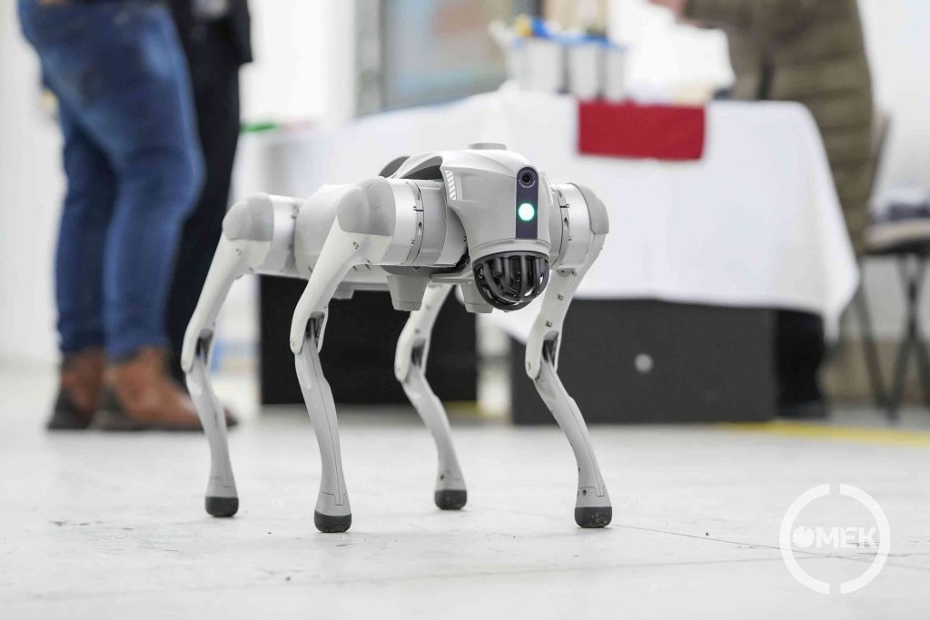 Robotkutya.