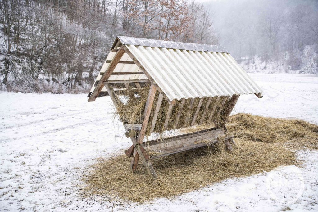 Vadetető.
