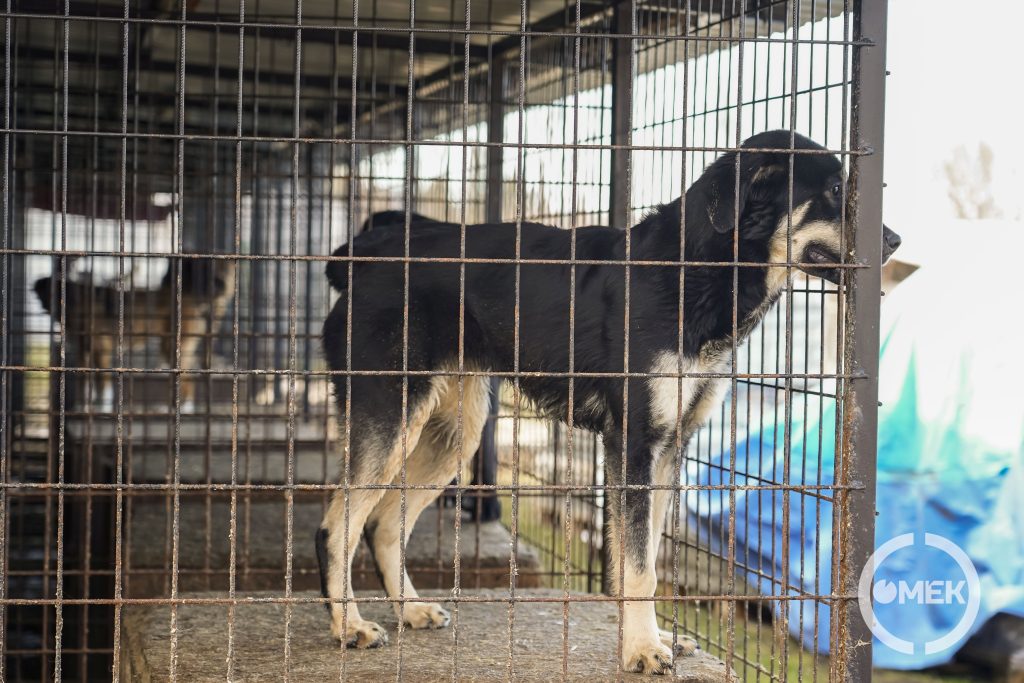 A telep teljes kihasználtsággal működik.