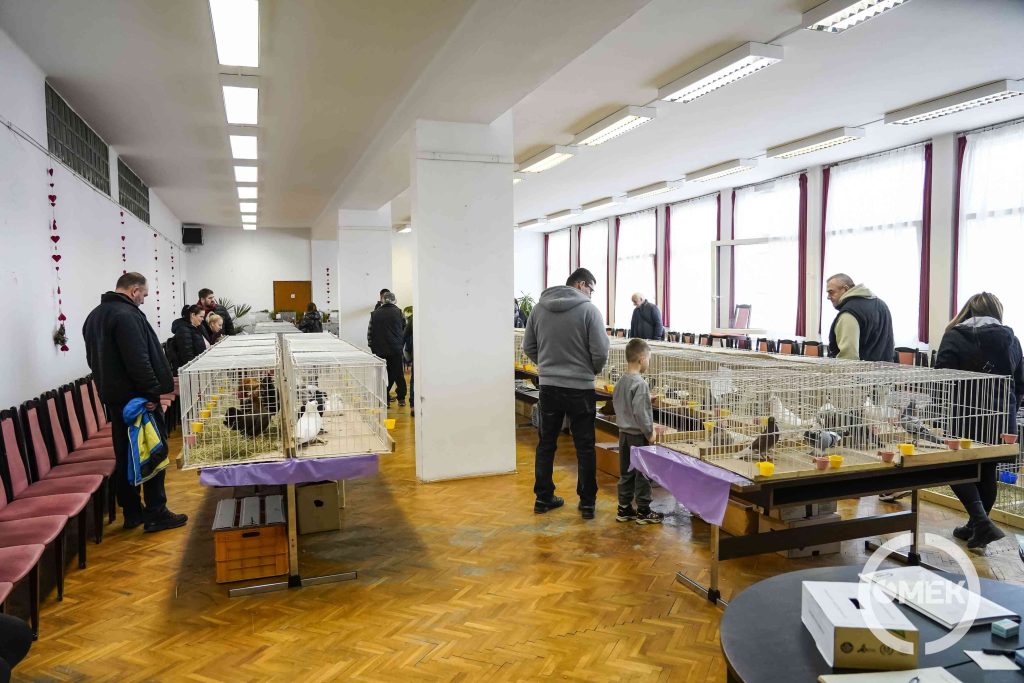 Látogatók a kiállításon.