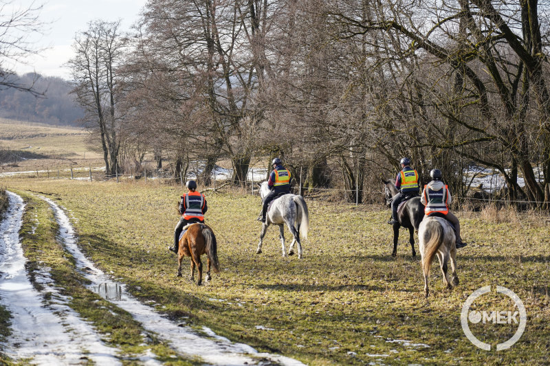 Lovas területbejárást tartottak az illegális falopás visszaszorítása érdekében.