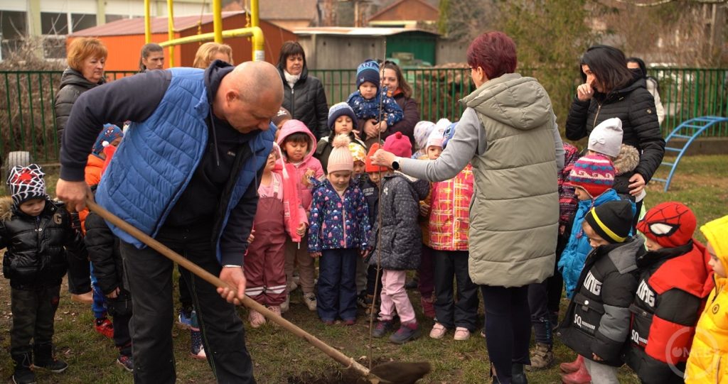 A boldogság fáját ültették el a Petőfi úti óvodában.