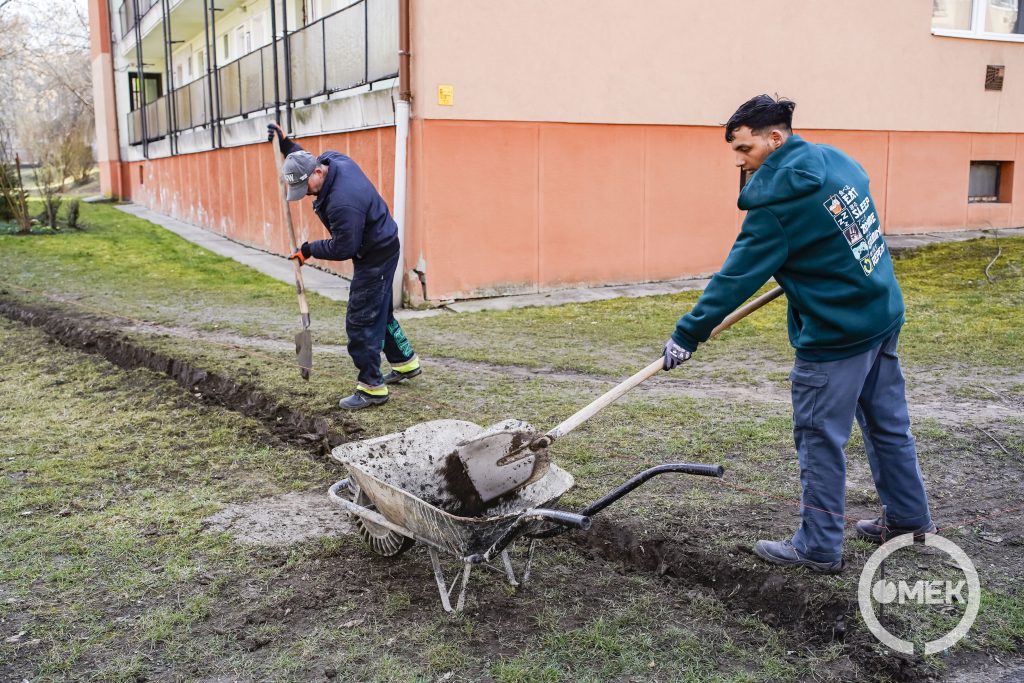 A fák gyökerei nehezítik a munkát.