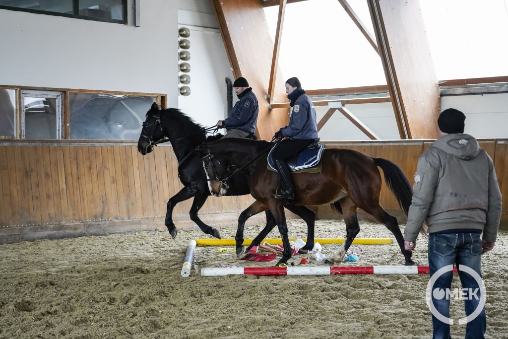 A pályán ügyességi gyakorlatokat végeztek a lovak a lovasaikkal.
