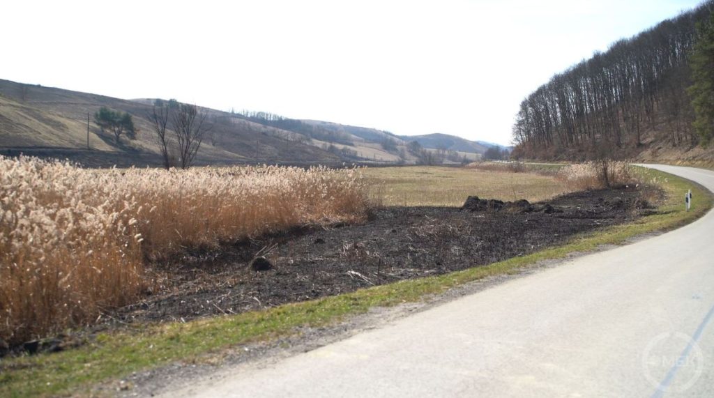 Az élővilágra és a növényvilágra is rossz hatással vannak a tüzek.