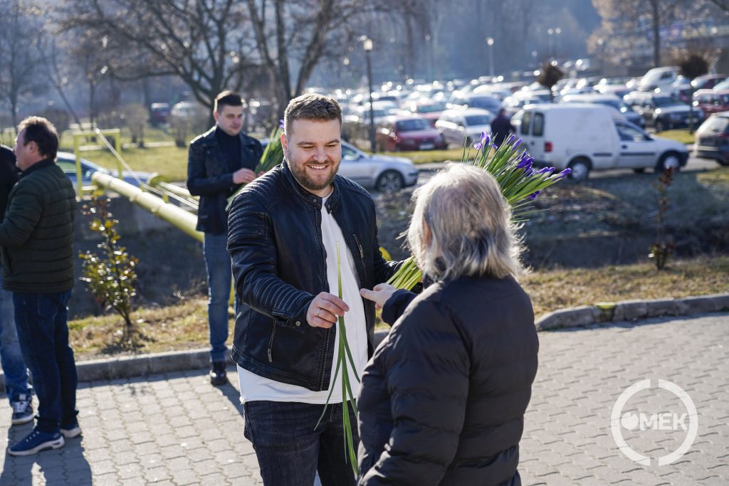 Egy szál íriszt ad át Katona Bence, önkormányzati képviselő.